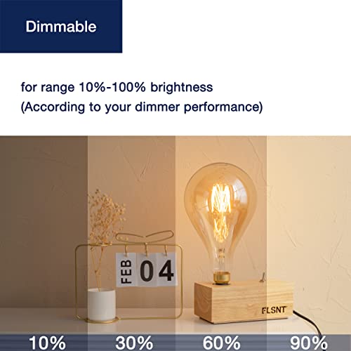 Oversized LED Edison Bulb