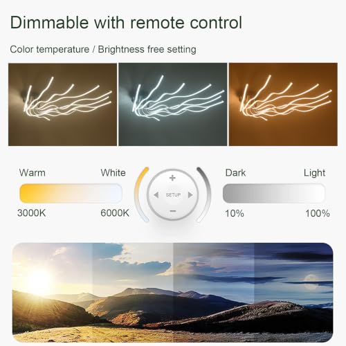 Modern Led Ceiling Light Fixture