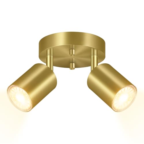 LED 2 Light Track Lighting Kit (2 Light-Gold)