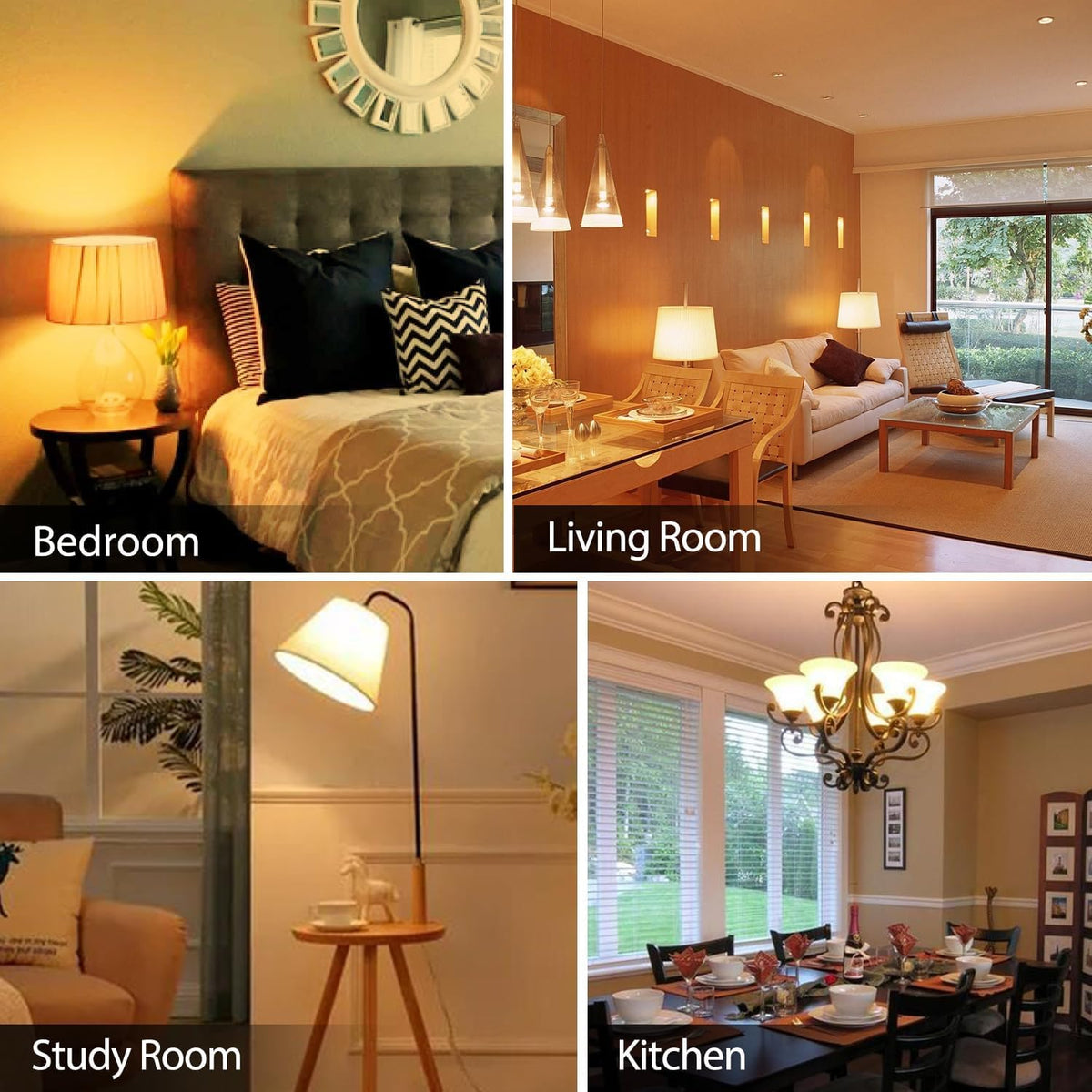 A19 LED Light Bulb (2700k Soft White / 3 Pack)