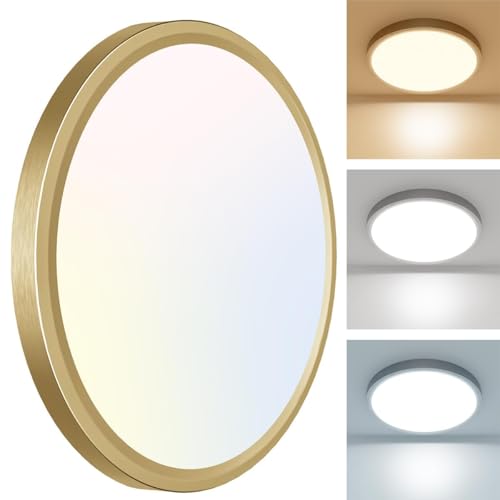 3CCT Led Ceiling Light