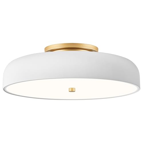 Dimmable LED Ceiling Light Fixture
