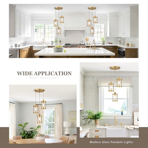Brushed Gold 3 (Gold + Clear Glass / 3-Light Ceiling Chandelier)