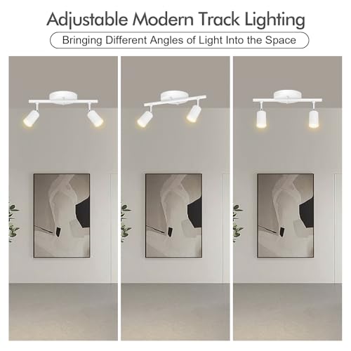 2 Light Track Lighting Fixtures Ceiling (2 light white)
