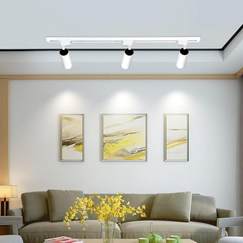 Plug in J&L Type LED Track Lighting Kits Dimmable Adjustable Angle Heads