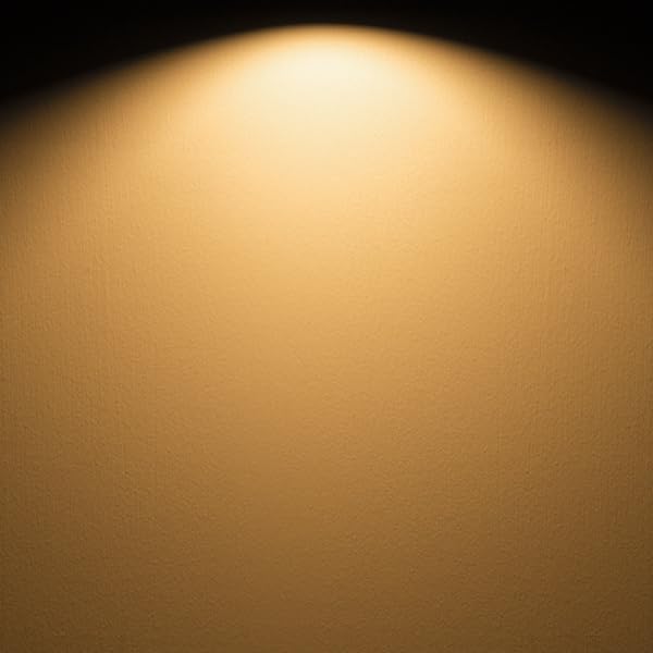 25 Watt Light Bulbs