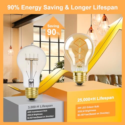 A19 Vintage LED Edison Bulbs
