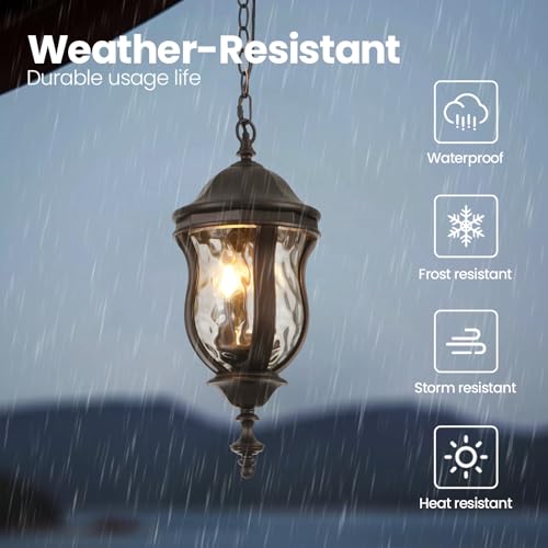 Large Outdoor Pendant Light Fixtures (Brown / 19.1 Inch)