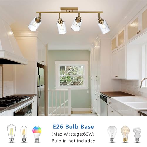 4 Light Track Lighting Kit Brass Bathroom Vanity Light Fixtures with Adjustable Track Head Ceiling Spotlight Fixture for Hallway Porch Foyer Storage (Brass / 4-Light)