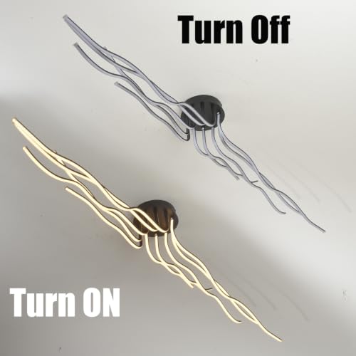 Modern Led Ceiling Light Fixture