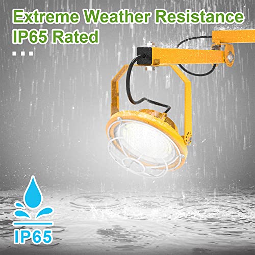 30W LED Loading Dock Light (30W)