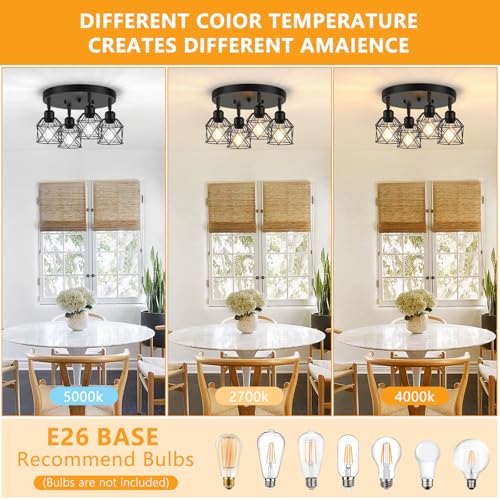 4 Light Kitchen Light Fixtures Ceiling Mount (Black / 4-Light)