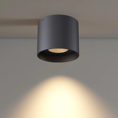 Flush Mount LED Cylinder Ceiling Light for Living Room