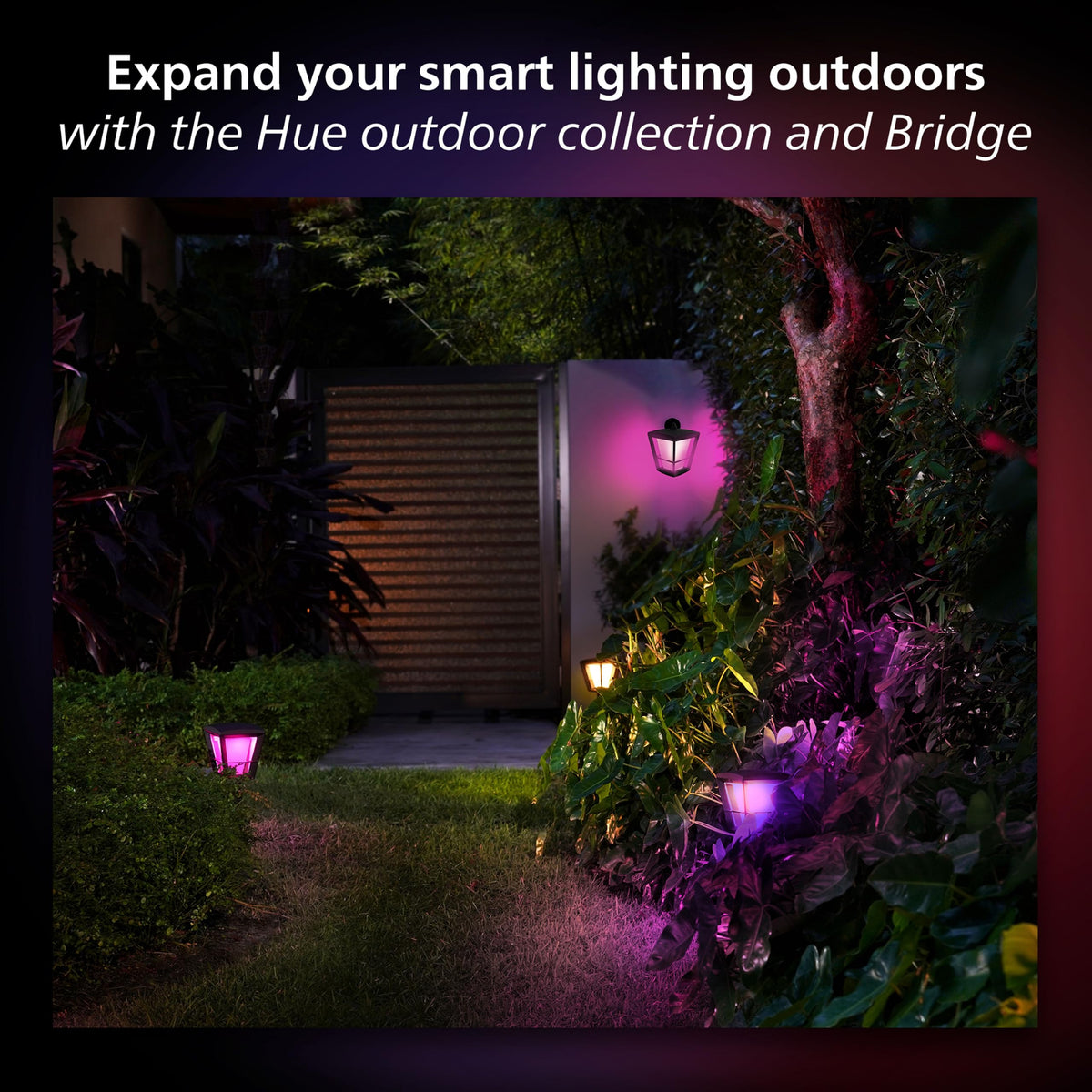 Lily Outdoor Smart LED Spotlight (Lily)