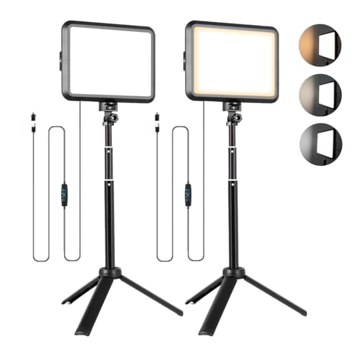 LED Photography Lighting Kit (8“)