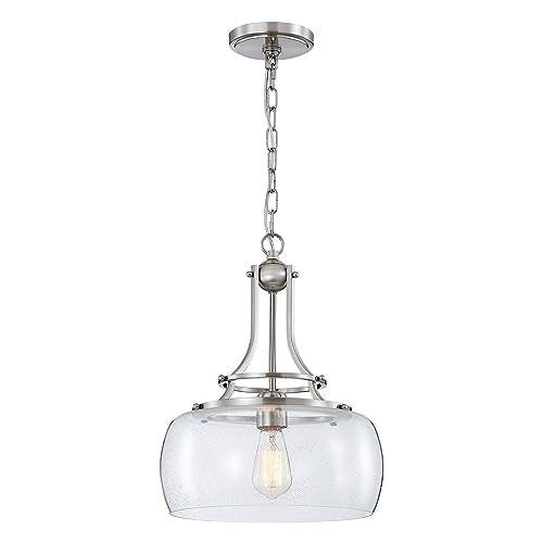 Rustic Farmhouse Round Globe Drum Shade Chandelier Pendant Light