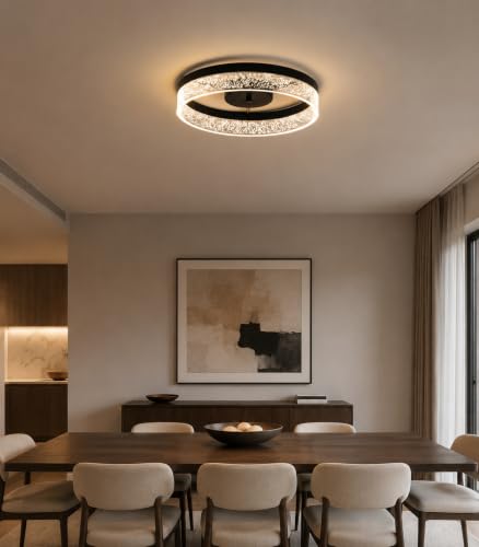 Ceiling Light Fixture (19in Black)