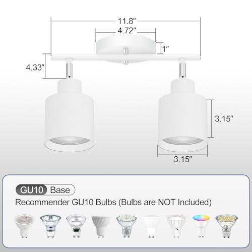 2 Light Led Track Lighting (2 light White)