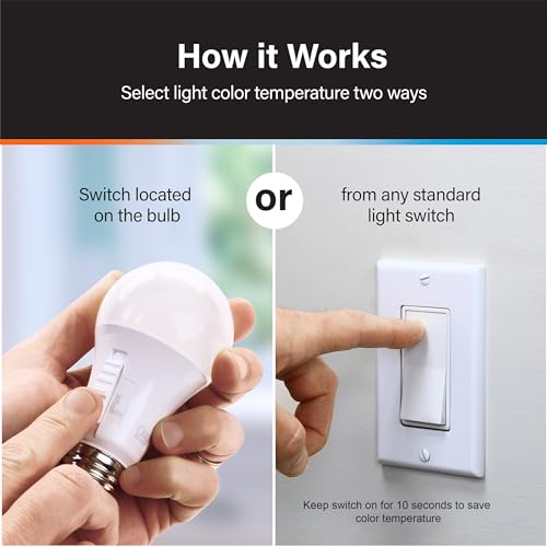 LED Light Bulbs (A19 - 2 Pack)
