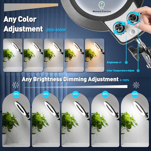 12X Magnifying Glass with Light and Stand (12X 9.06 INCH Base & Clamp)