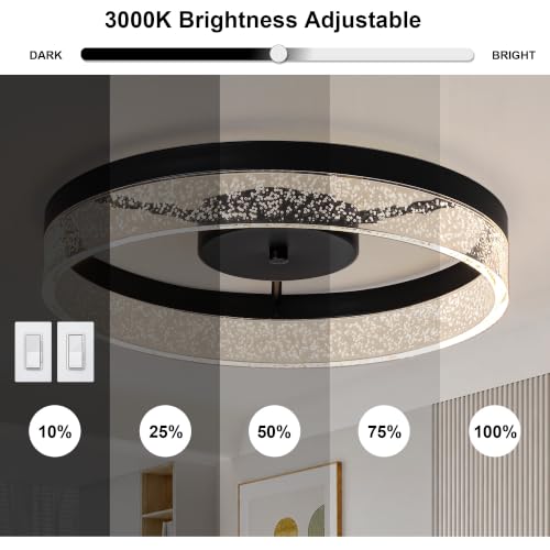 Ceiling Light Fixture (19in Black)