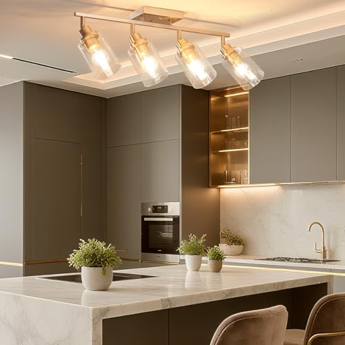 4 Light Brushed Nickel Track Lighting Kit with Clear Glass (Brushed Nickel / 4-Light)