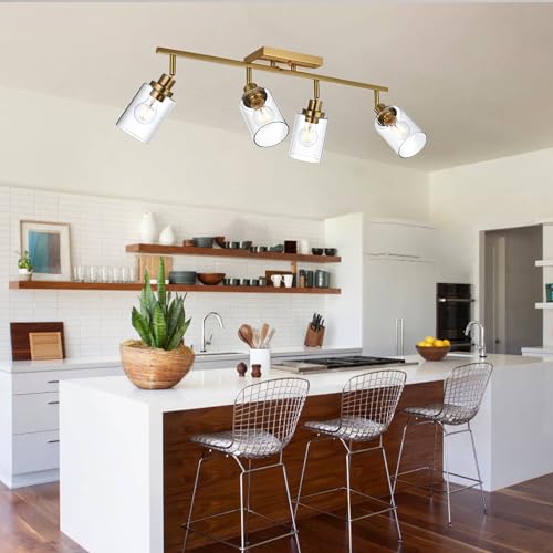 4 Light Track Lighting Kit Brass Bathroom Vanity Light Fixtures with Adjustable Track Head Ceiling Spotlight Fixture for Hallway Porch Foyer Storage (Brass / 4-Light)