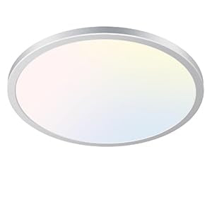 Dimmable LED Flush Mount Ceiling Light Fixture with Remote Control