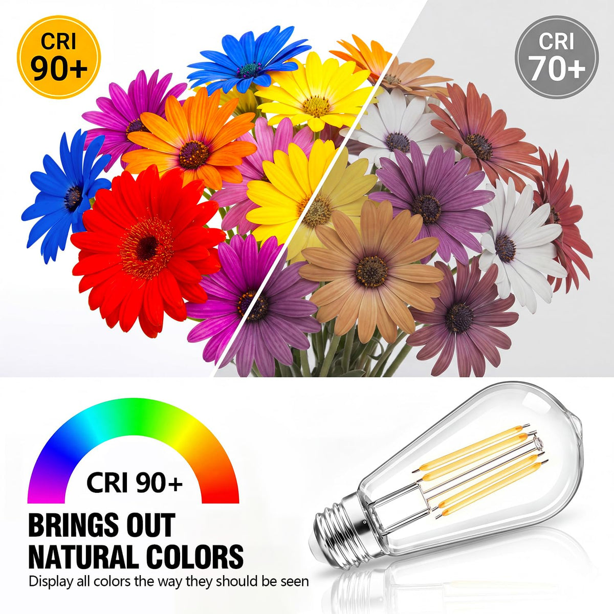 Dimmable LED Edison Light Bulbs (6)