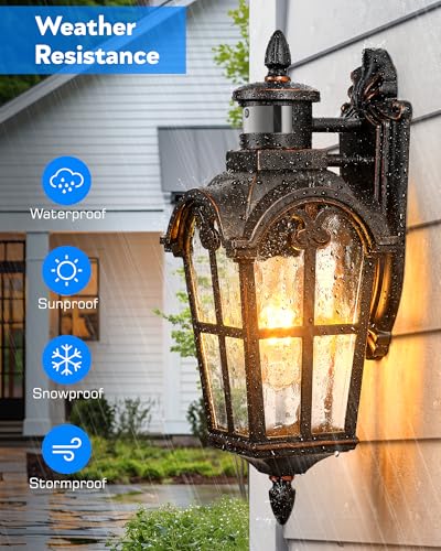 Outdoor Motion Sensor Light (Oil-Rubbed Bronze / 1-pack)