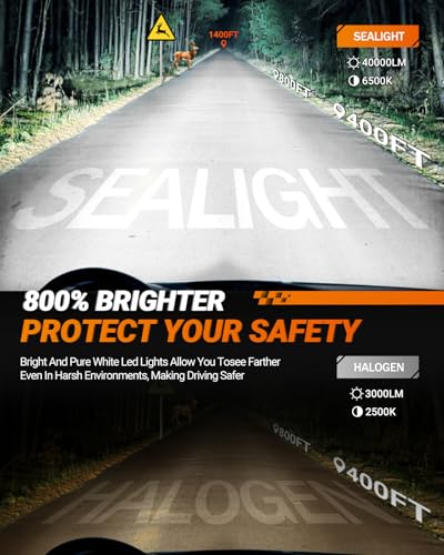 9005 HB3 Fog Light Bulbs (9005/HB3)