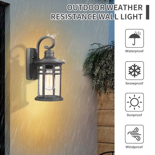 Outdoor Wall Light 2 Packs (2Packs Clear Glass / Medium)