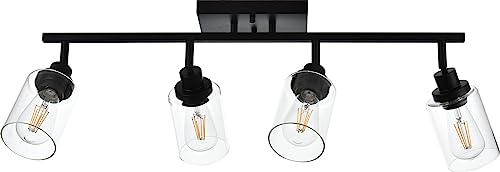 4 Light Track Lighting Kit 28.7 Inch Bathroom Light Fixtures (Black / 4-Light)