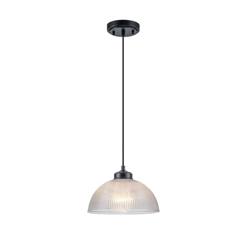 EDSILIVE Glass Pendant Light