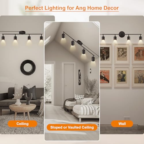 Plug in Track Lighting LED (4-Light Track Light(Black))