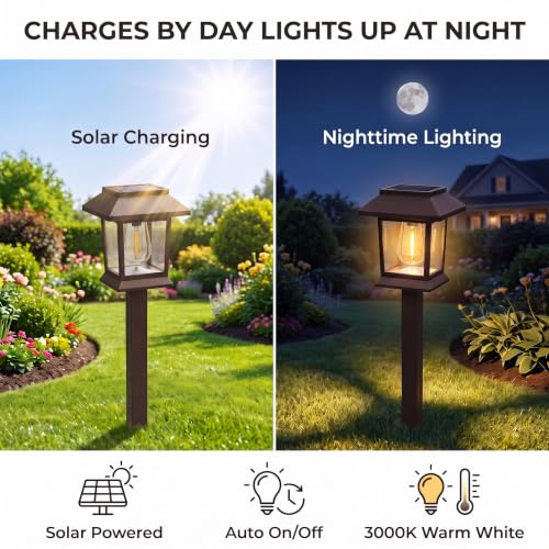 Solar Outdoor Lights