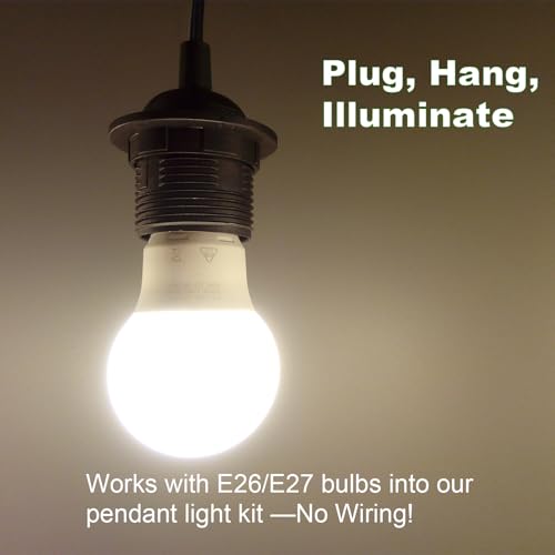 Plug in Pendant Light Cord (Black / 16FT)