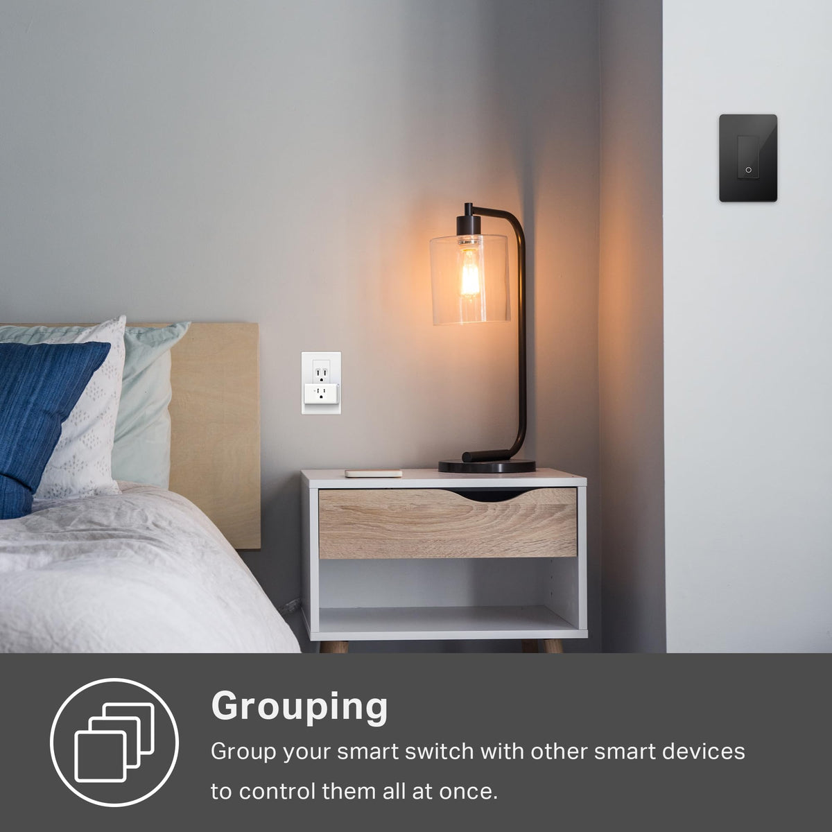 Light Switch Single Pole (Black)