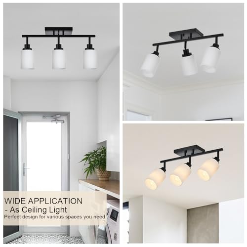 3 Lights Track Lighting Kit (Black / 3-Lights)