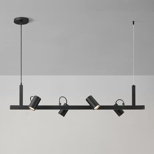 Suspended Track Lighting (Matte Black, Asimov)