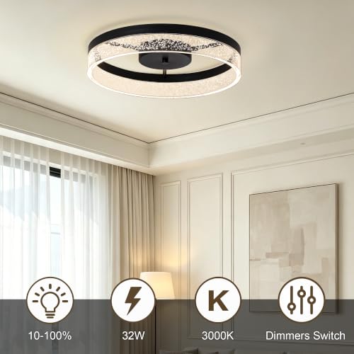 Ceiling Light Fixture (19in Black)
