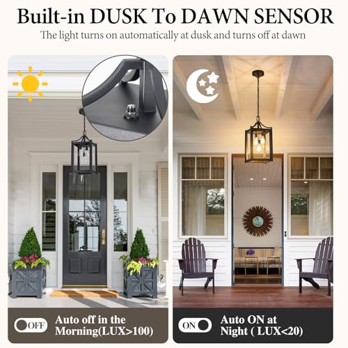 Outdoor Pendant Lights for Porch (Black / Large-Clear Glass)