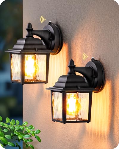 2 Pack Outdoor Wall Lights