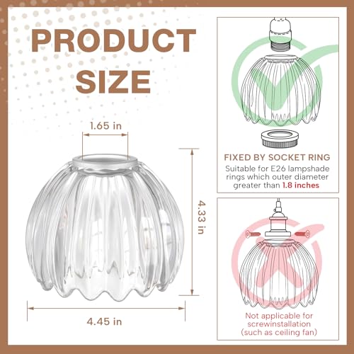 2 Pcs Glass Tulip Lamp Shade (Clear)