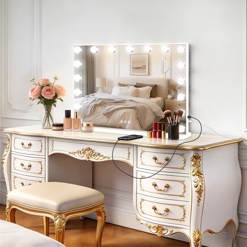 Vanity Mirror with Lights (White / 28"L x 20"W)