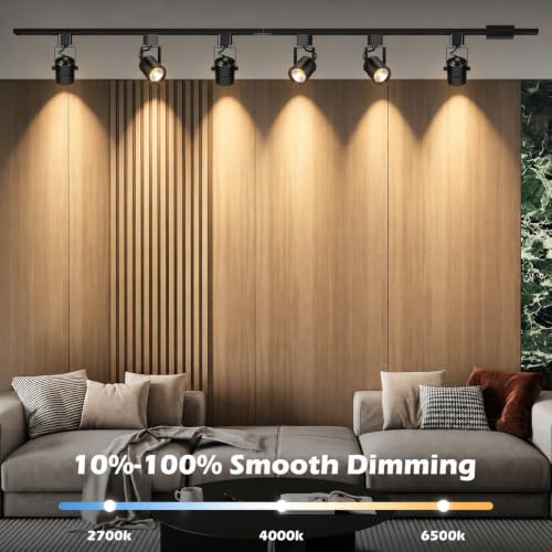 6 Light Track Lighting Kit with 6.6FT H Type Track Lighting Rail and Floating Canopy Connector (Black / 6 Lights)