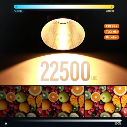 SL60II Bi LED Video Light Kit (SL60II-Bi kit)