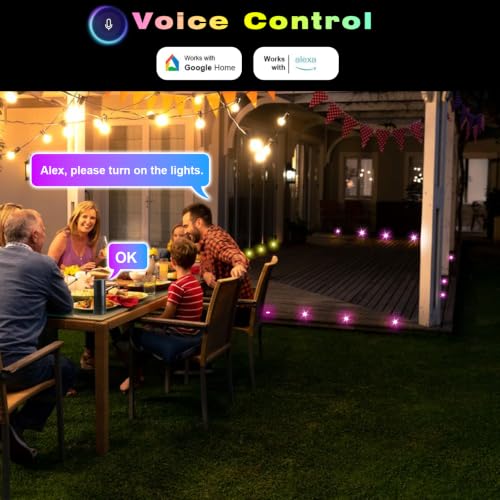 LED Deck Lights Kit (30 Pack / Rgbw (Wifi Controller))
