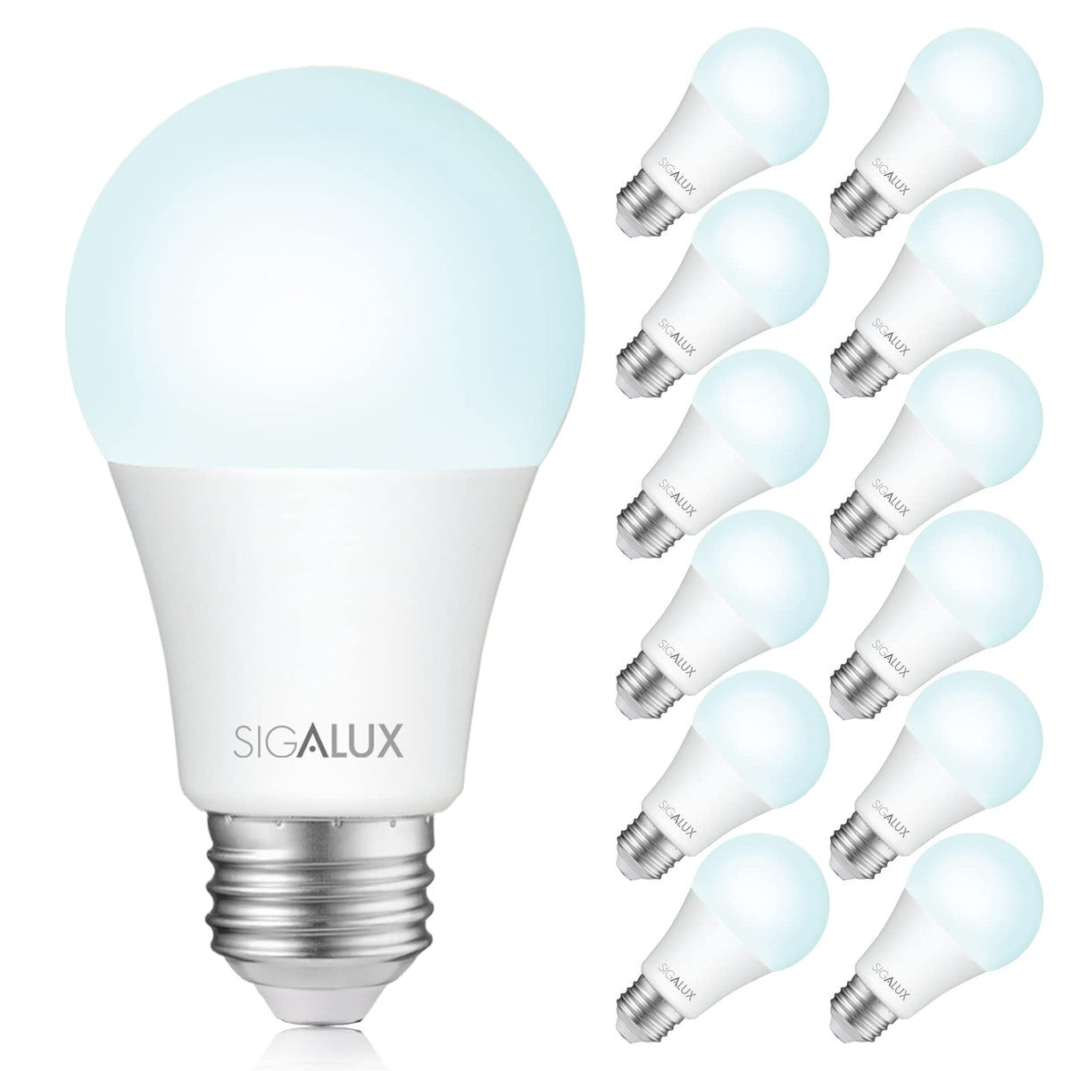 LED Light Bulbs 100 Watt Equivalent (100w-daylight / 12 Count (Pack of 1))