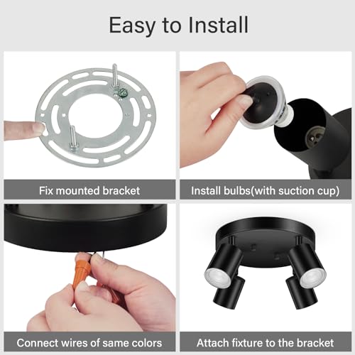 LED 4 Light Track Lighting Kit (4 Light-Black)